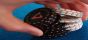 Win More Games by Developing Your Own Poker Playing Style